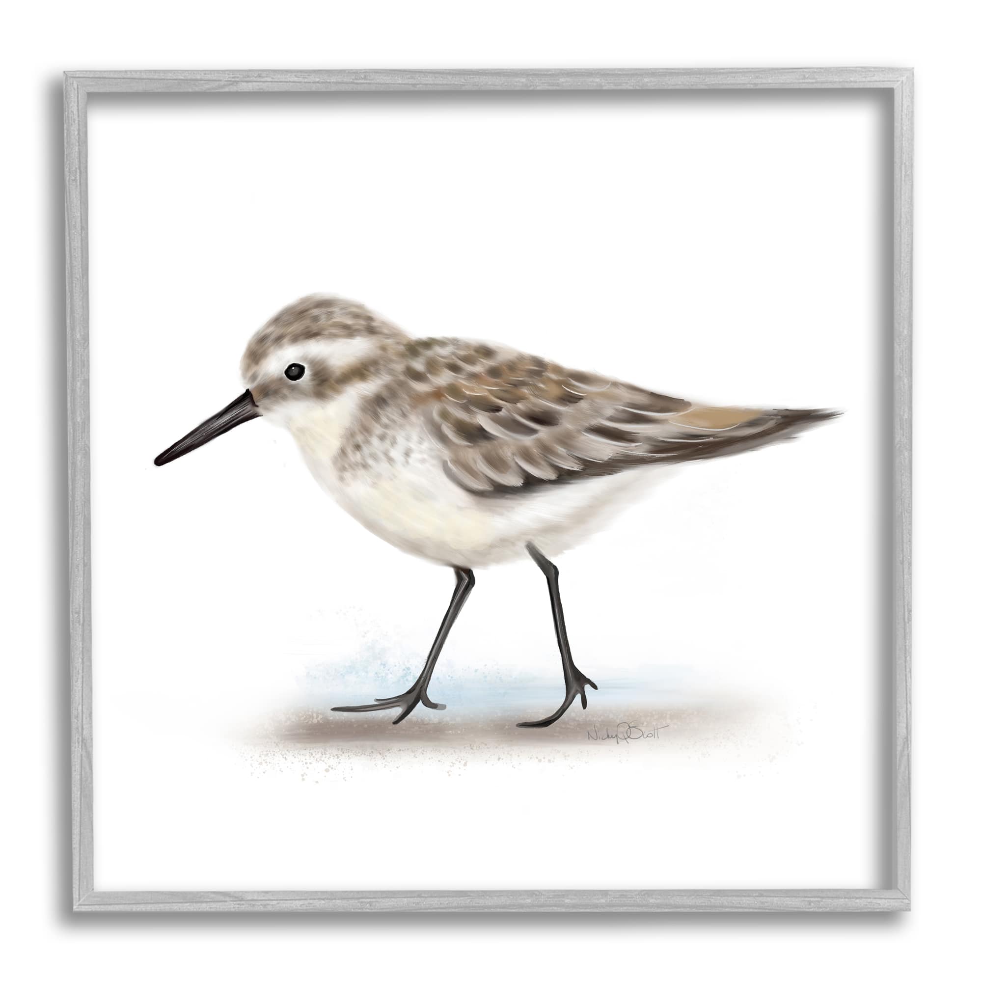 Stupell Industries Nautical Sandpiper Bird on Sand Speckled Feathers in Gray Frame Wall Art